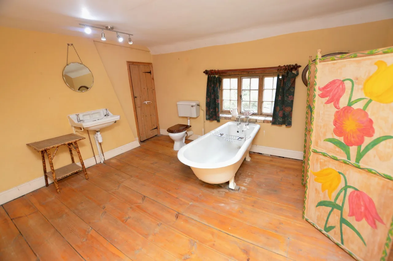Skeyton, photo 13