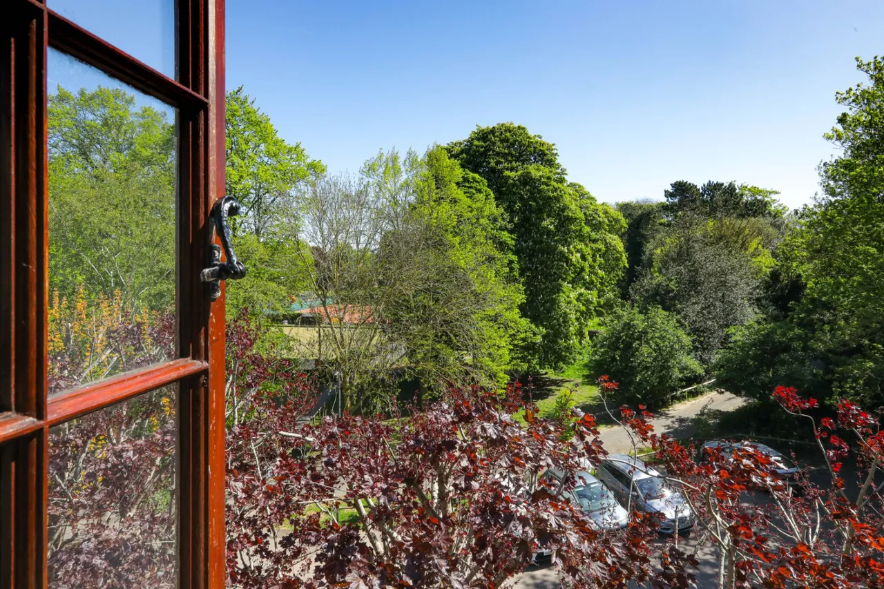 Park Road, Faversham, ME13, photo 4