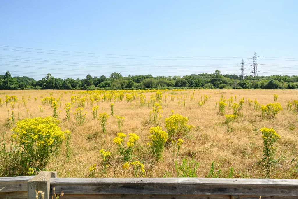 Weybridge Park Estate, Addlestone KT15 2RB, photo 3