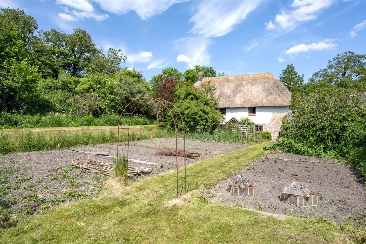 West Street, Winterborne Stickland, DT11, photo 29