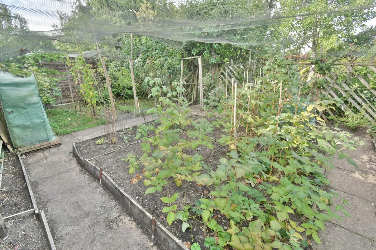Fernlea Gardens, BH22, photo 30