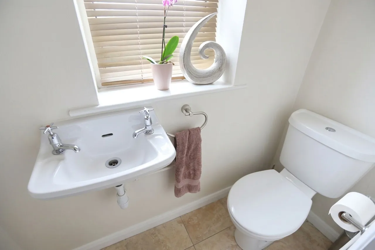 Standmoor Road, Whitefield, M45, photo 14