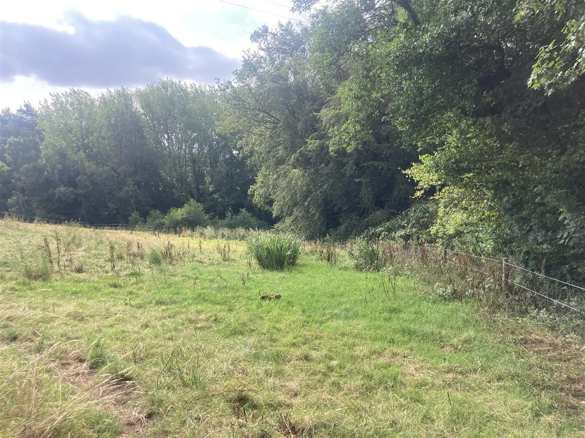 Keele Road, Madeley Heath, ST5, photo 2