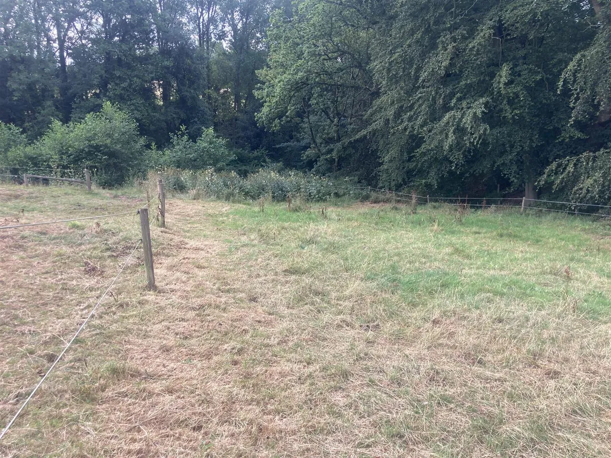 Keele Road, Madeley Heath, ST5, photo 6