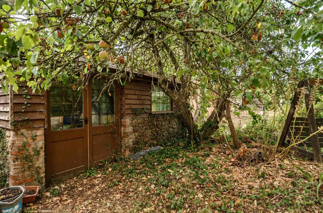 Oatley Lane, Cannington, Bridgwater, Somerset, TA5 2NL, photo 41
