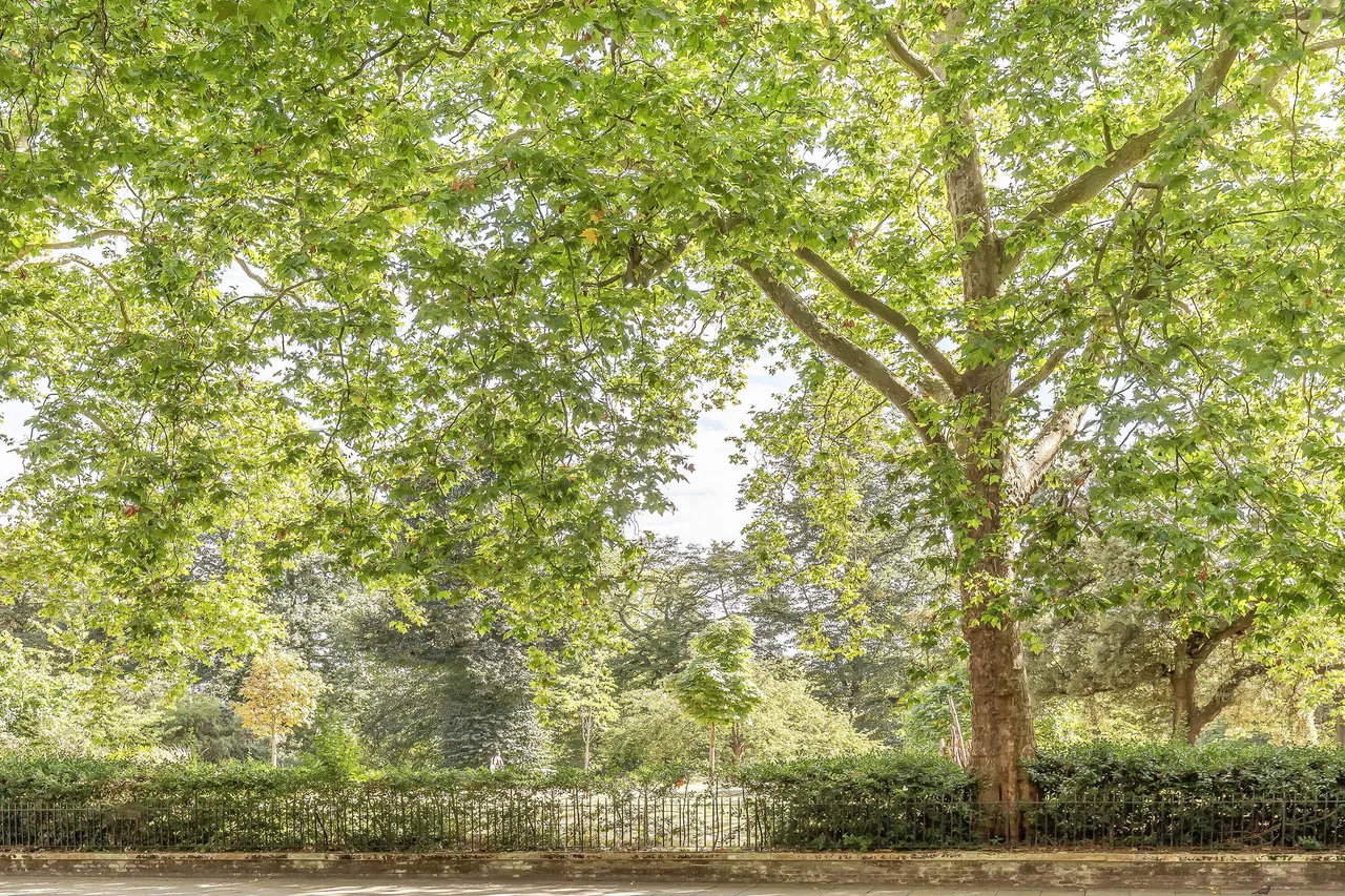 100 Lancaster Gate, London, W2, photo 9
