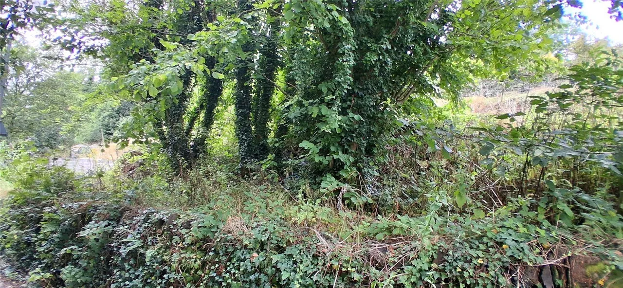 Penrhyndeudraeth, LL48, photo 9