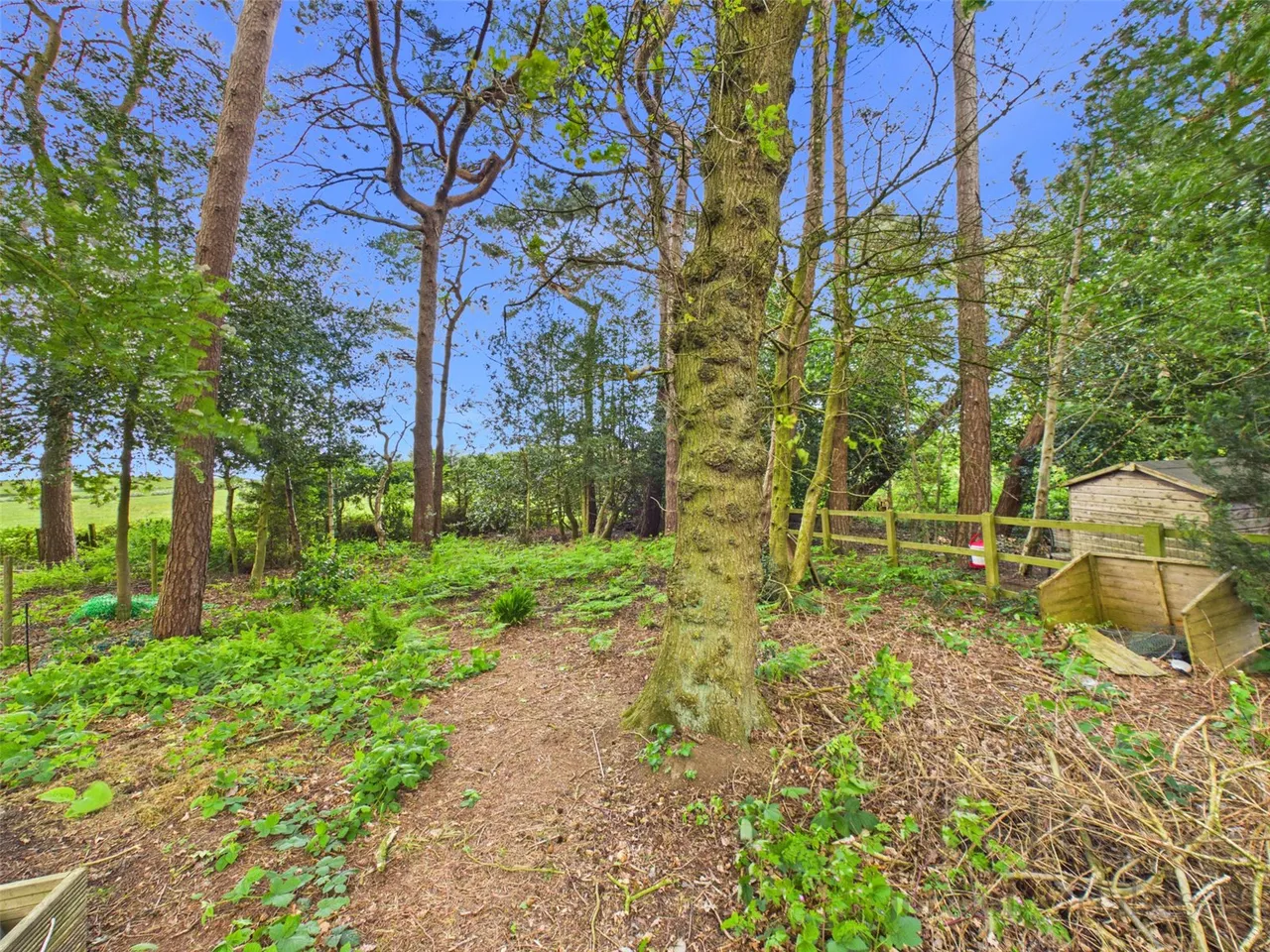 Kingswood Park, Kingswood, Frodsham, Cheshire, WA6 6EH, photo 14