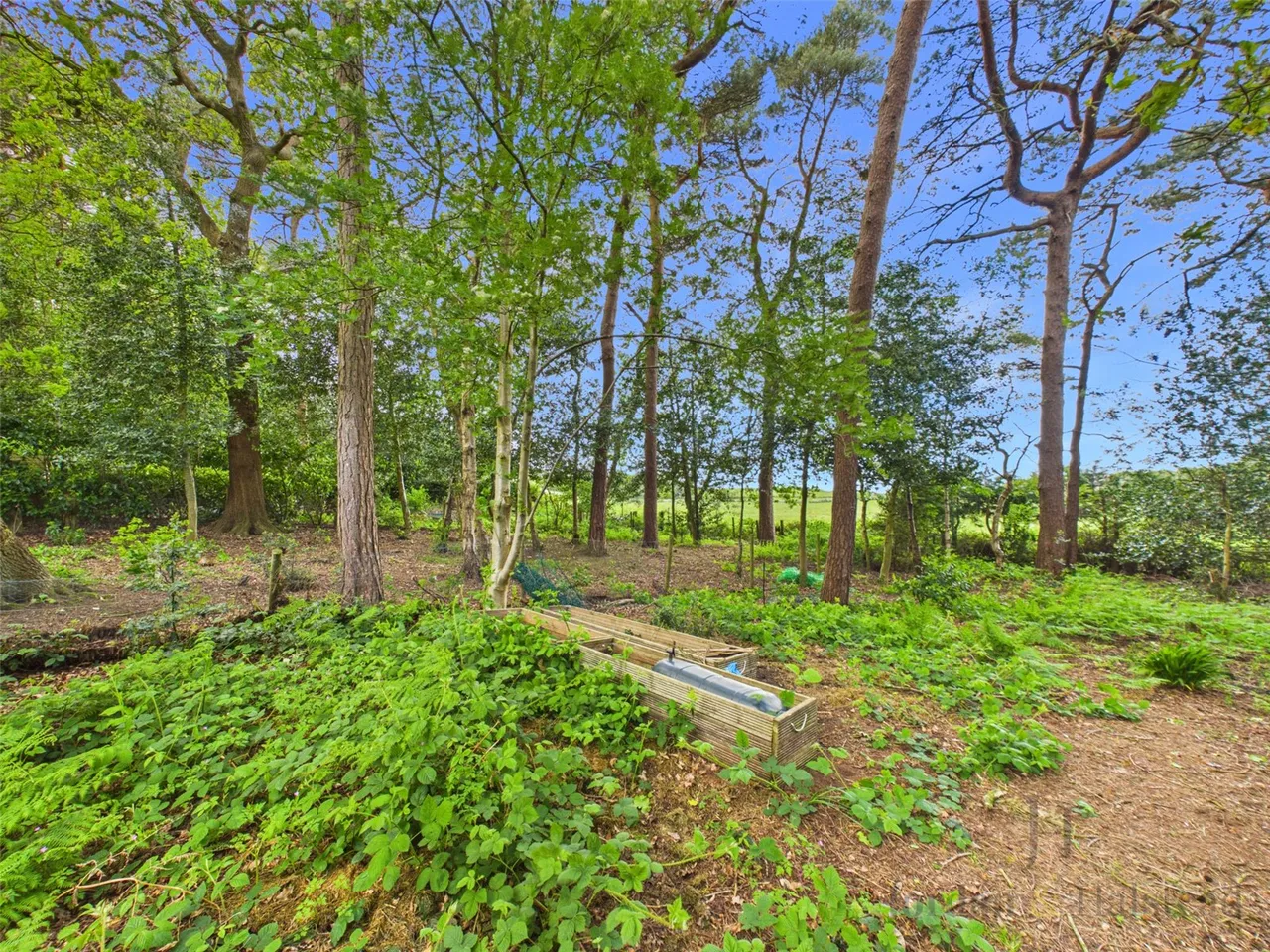 Kingswood Park, Kingswood, Frodsham, Cheshire, WA6 6EH, photo 9