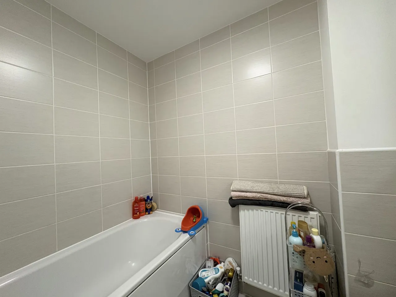 Wilkinson Road, Kempston, MK42, photo 20