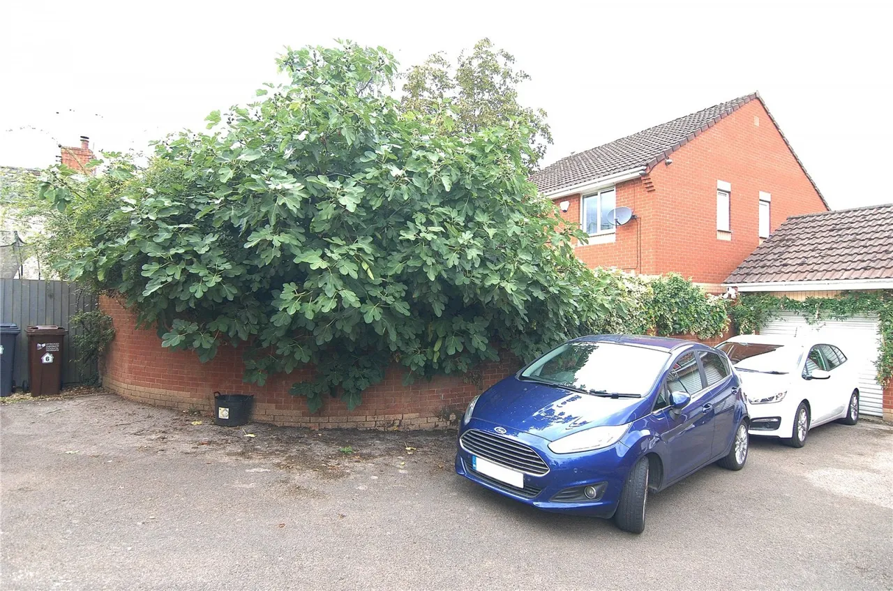 Arrowsmith Drive, Stonehouse, GL10, photo 20