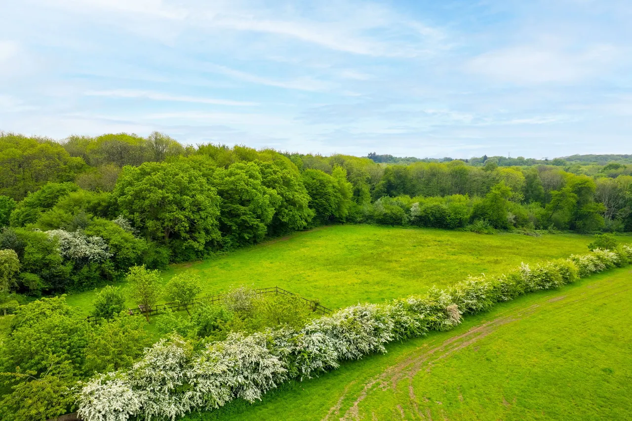 Faversham Road, Charing, TN27, photo 41