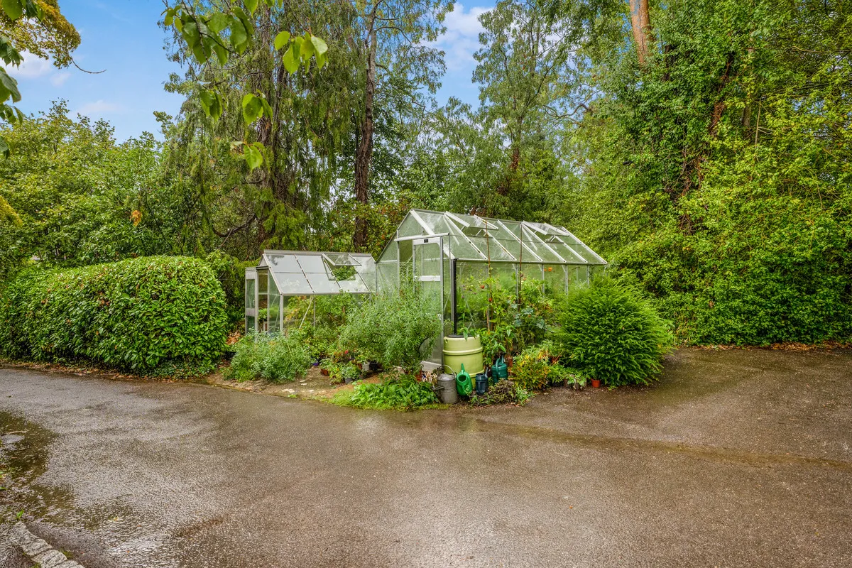 The Street, Ewhurst, GU6, photo 21