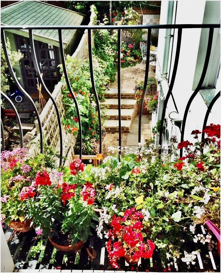 Howard Terrace, Brighton, photo 10