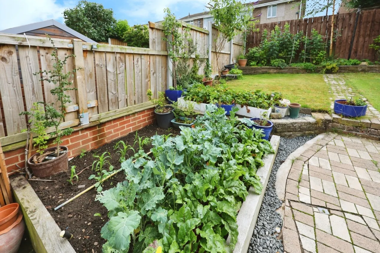 Derwent Avenue, West Auckland, DL14, photo 16