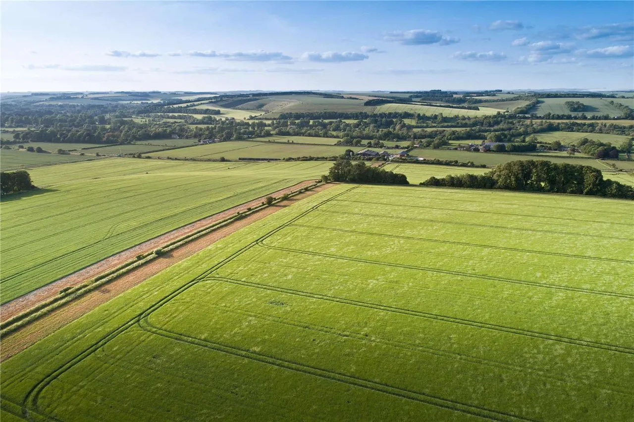The Bapton Manor Estate, Bapton Manor, Bapton, Warminster, BA12 0SB, photo 10