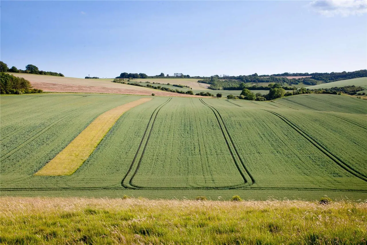 The Bapton Manor Estate, Bapton Manor, Bapton, Warminster, BA12 0SB, photo 12