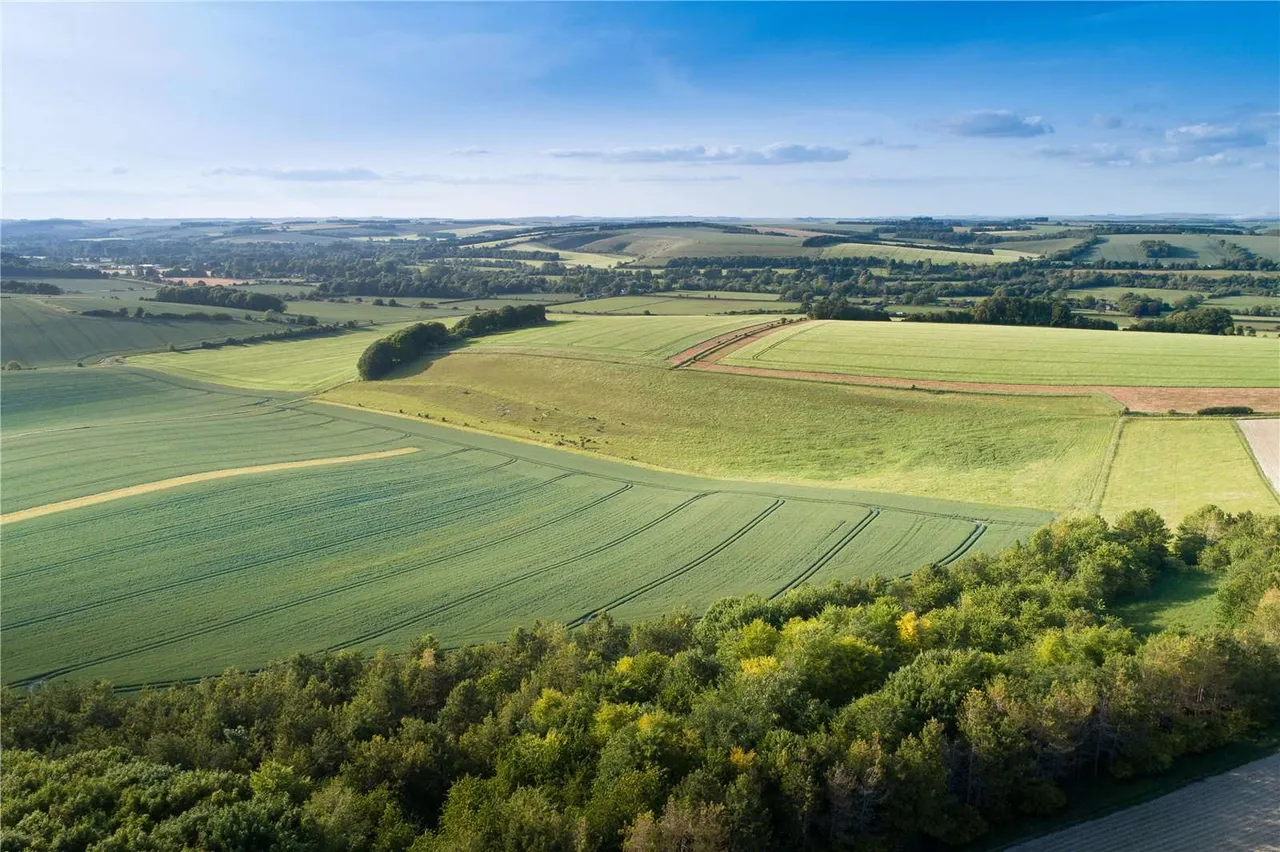 The Bapton Manor Estate, Bapton Manor, Bapton, Warminster, BA12 0SB, photo 9