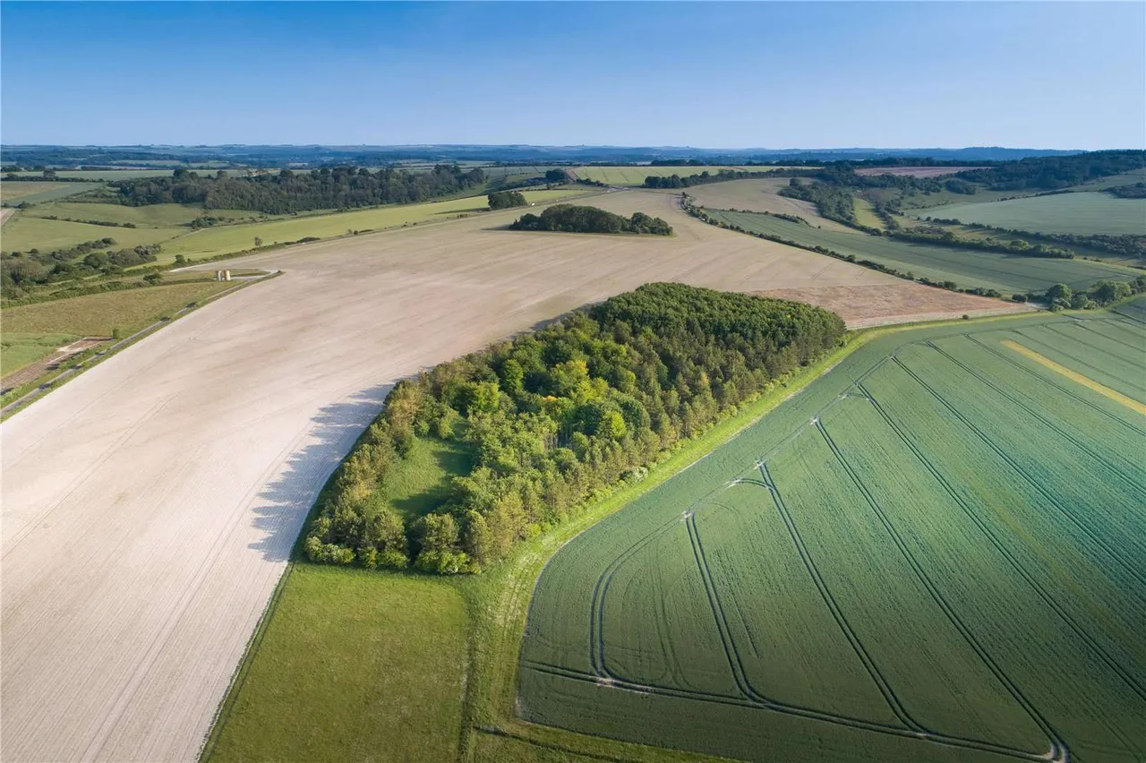 The Bapton Manor Estate, Bapton Manor, Bapton, Warminster, BA12 0SB, photo 8