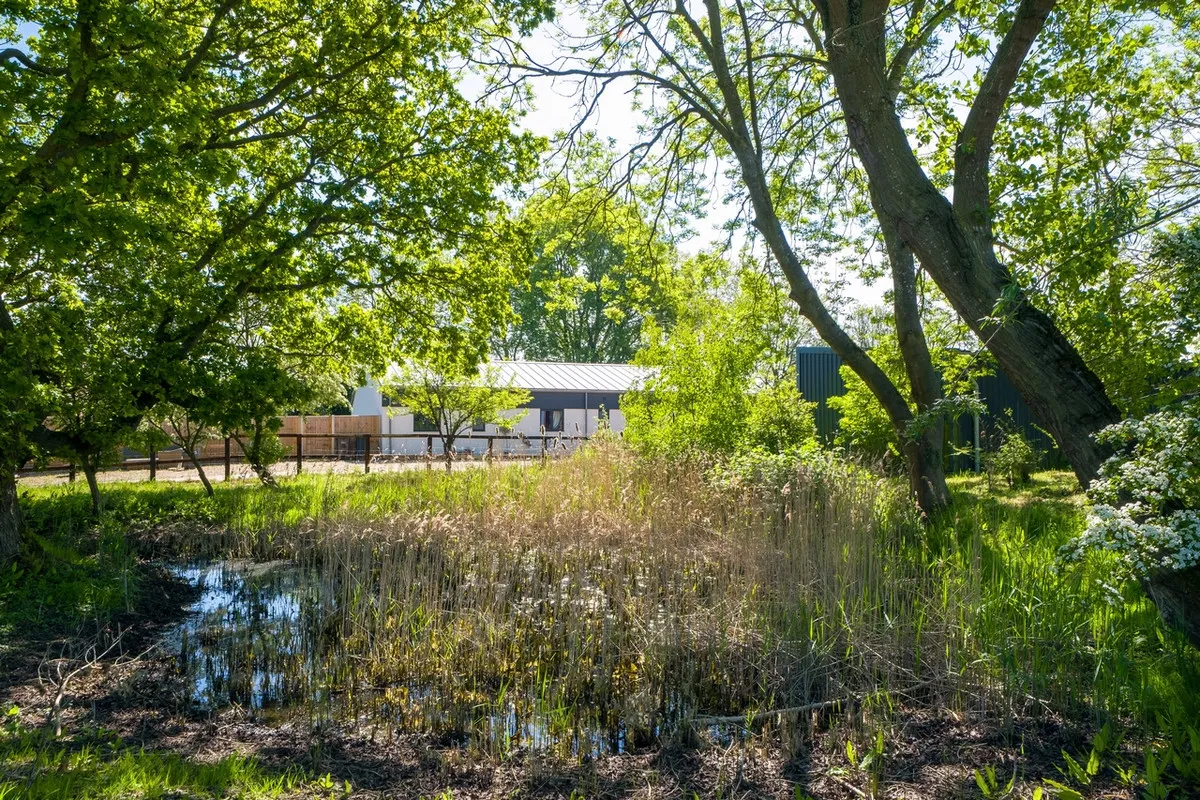 Great Green, Thrandeston, IP21, photo 24
