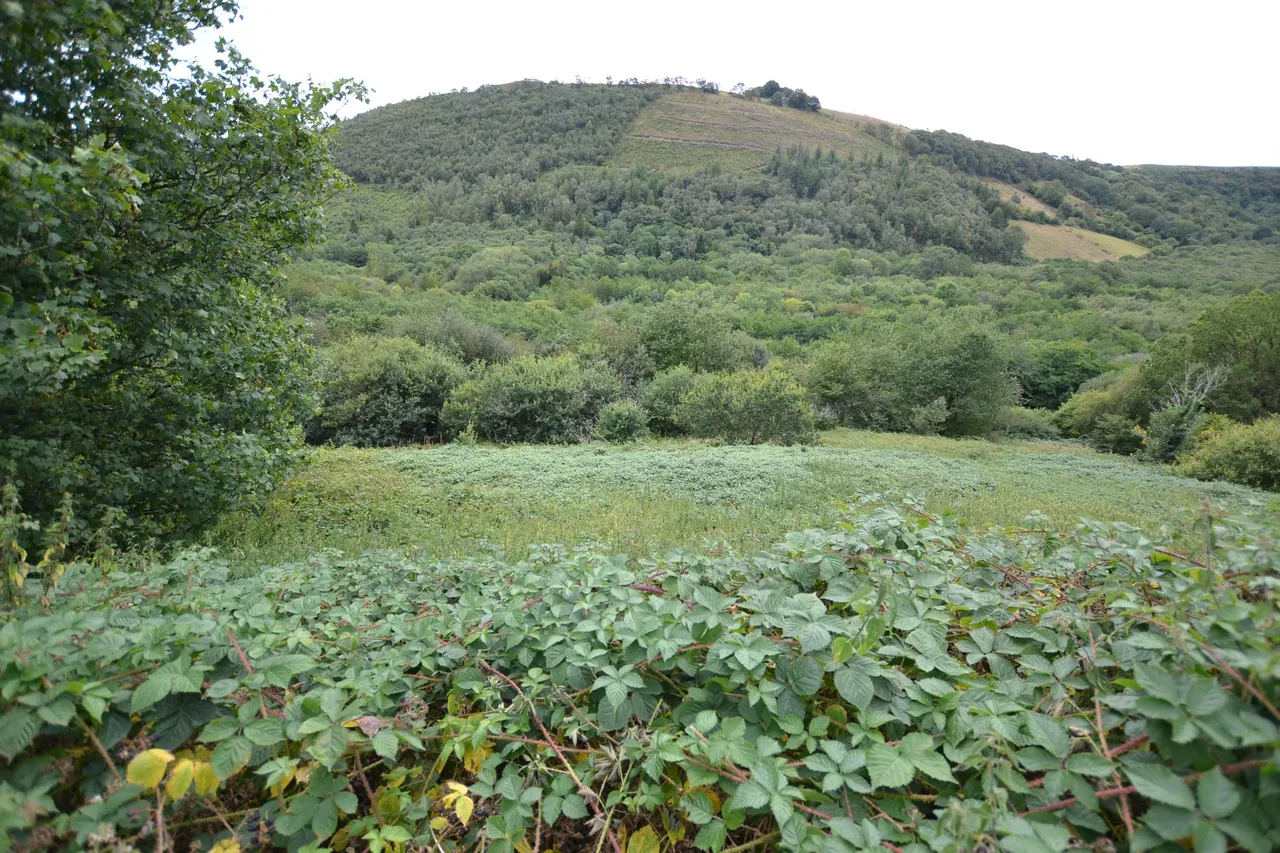 Cwmdu, Llandeilo, SA19, photo 3