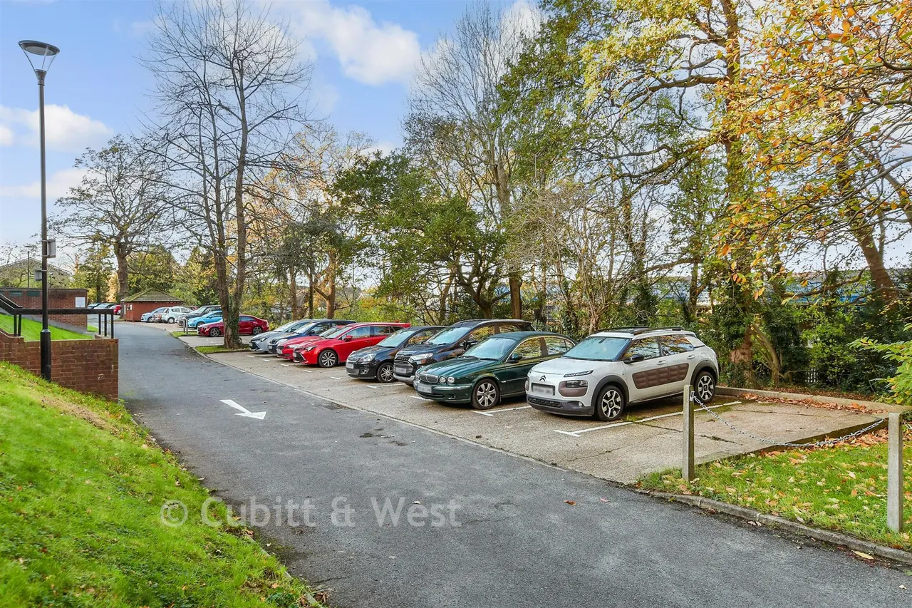 Porchester Mead, Beckenham, BR3, photo 11