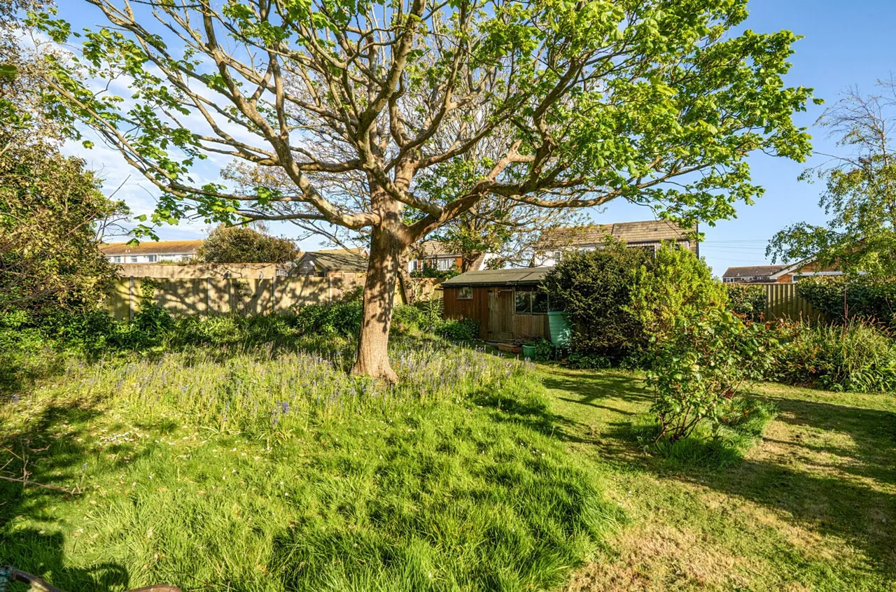 Albion Road, Selsey, PO20, photo 21
