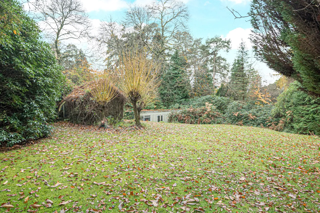 Farnham Lane, Haslemere, GU27, photo 11