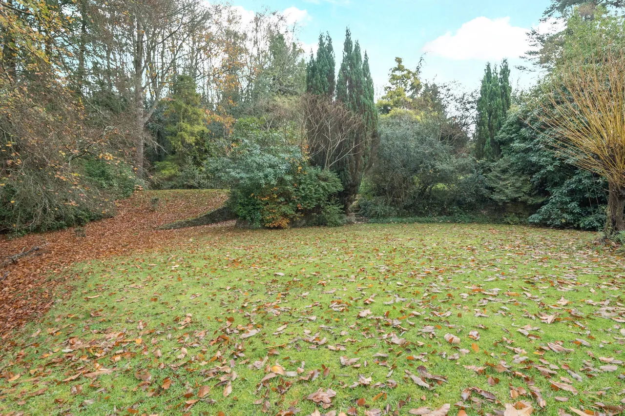 Farnham Lane, Haslemere, GU27, photo 12