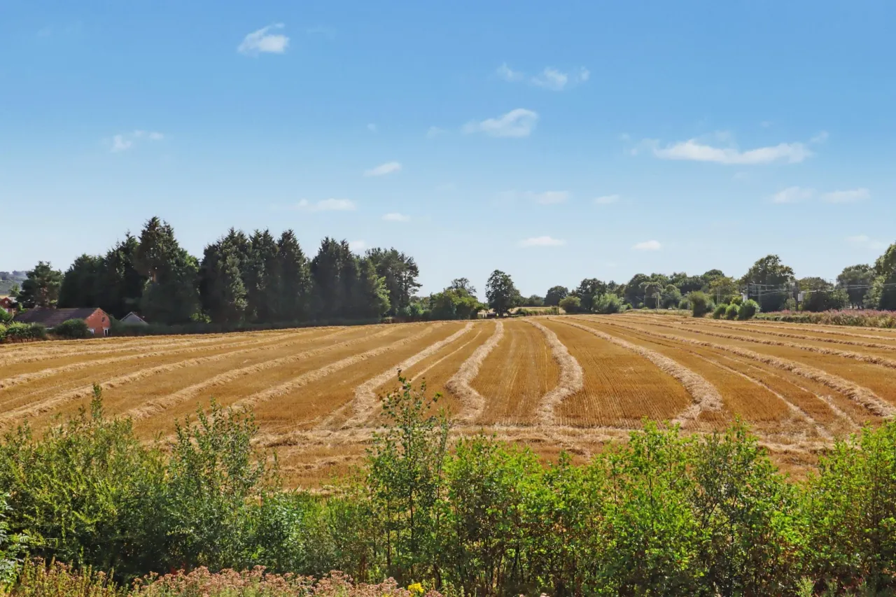 Paddocks Green, Congleton, photo 4