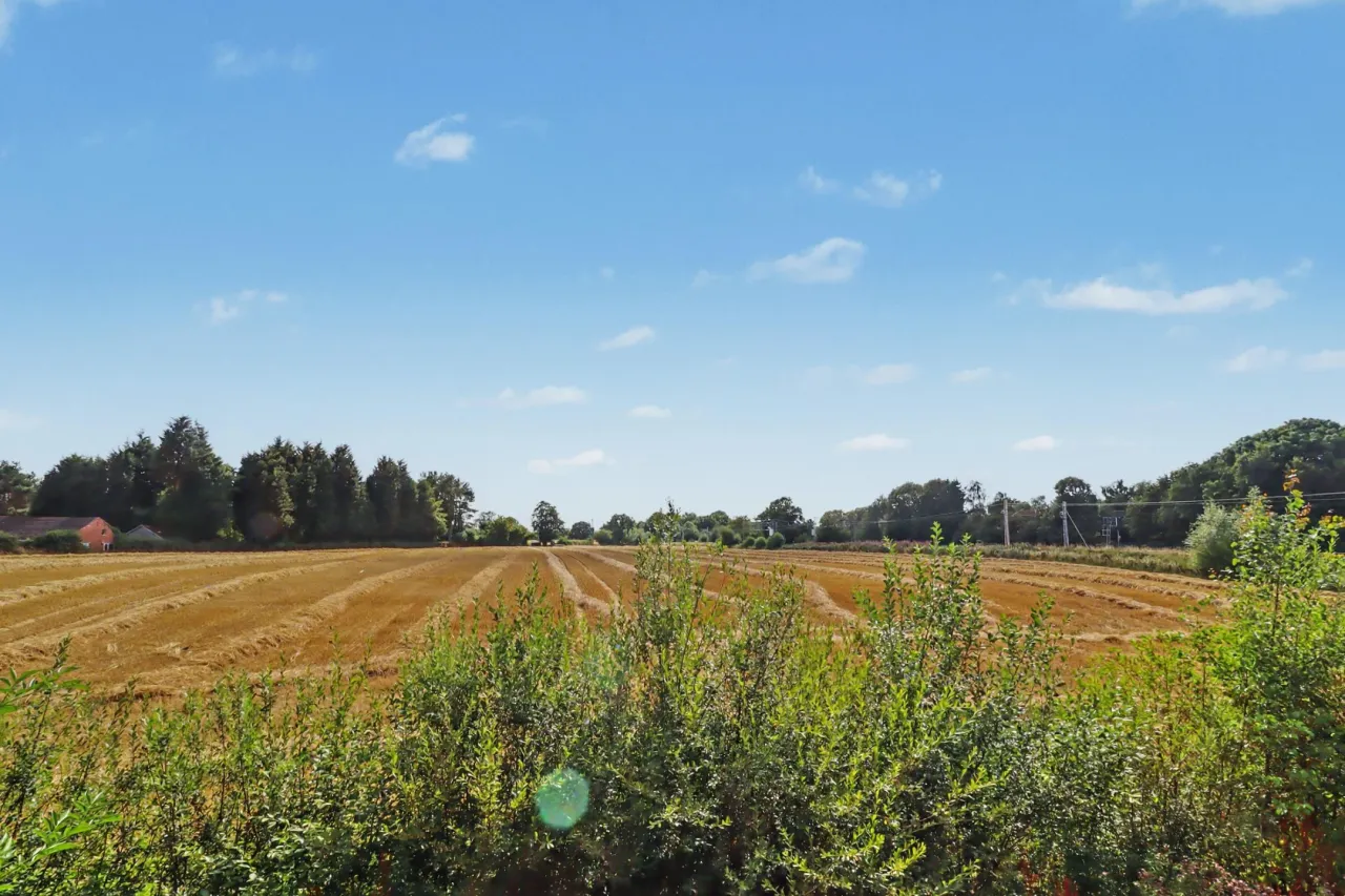 Paddocks Green, Congleton, photo 33