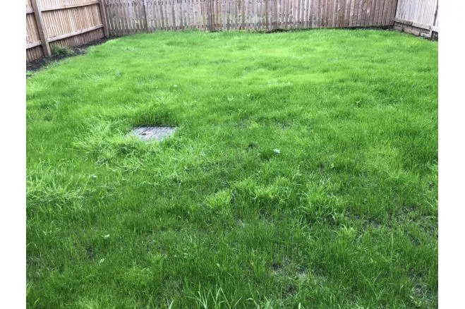 Salisbury Drive, Rochdale, OL11, photo 3