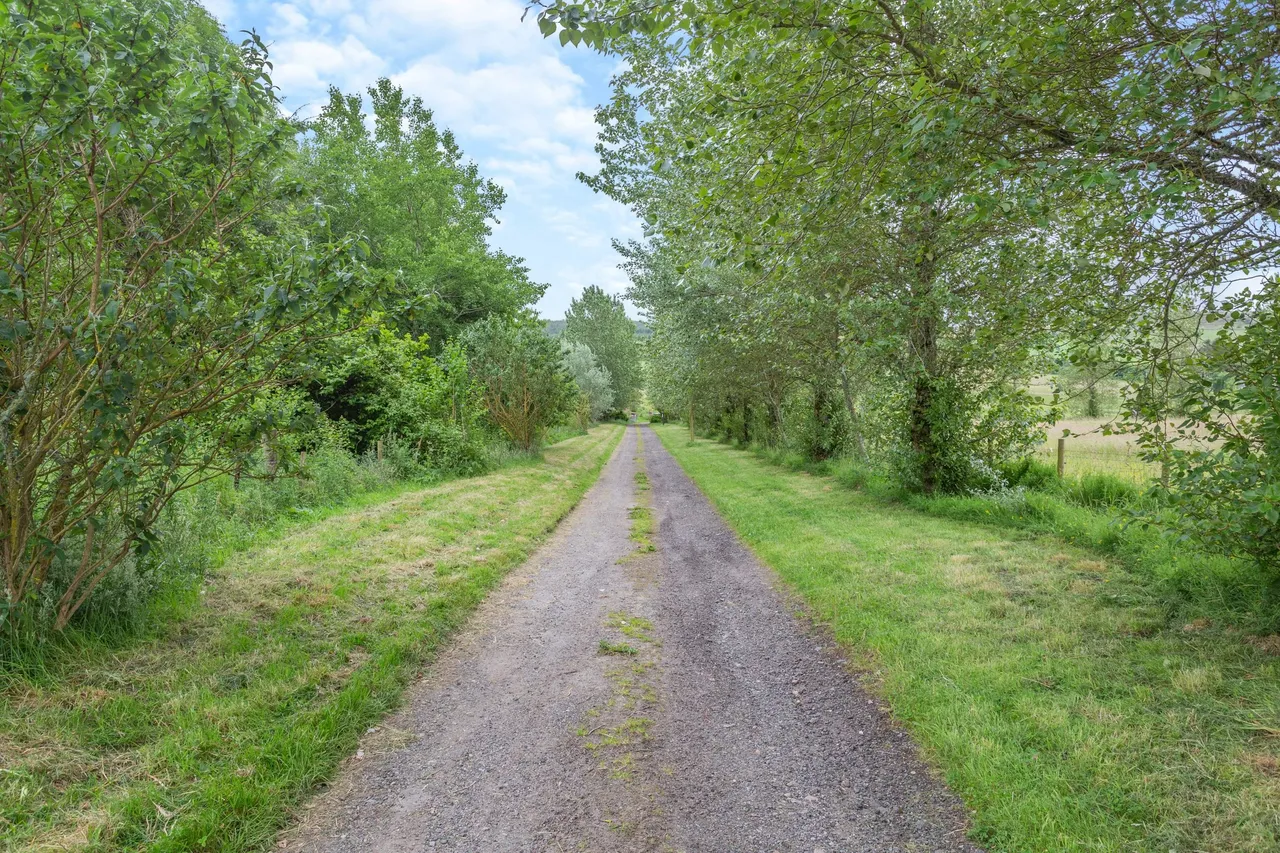 Drybridge, Buckie, AB56, photo 5