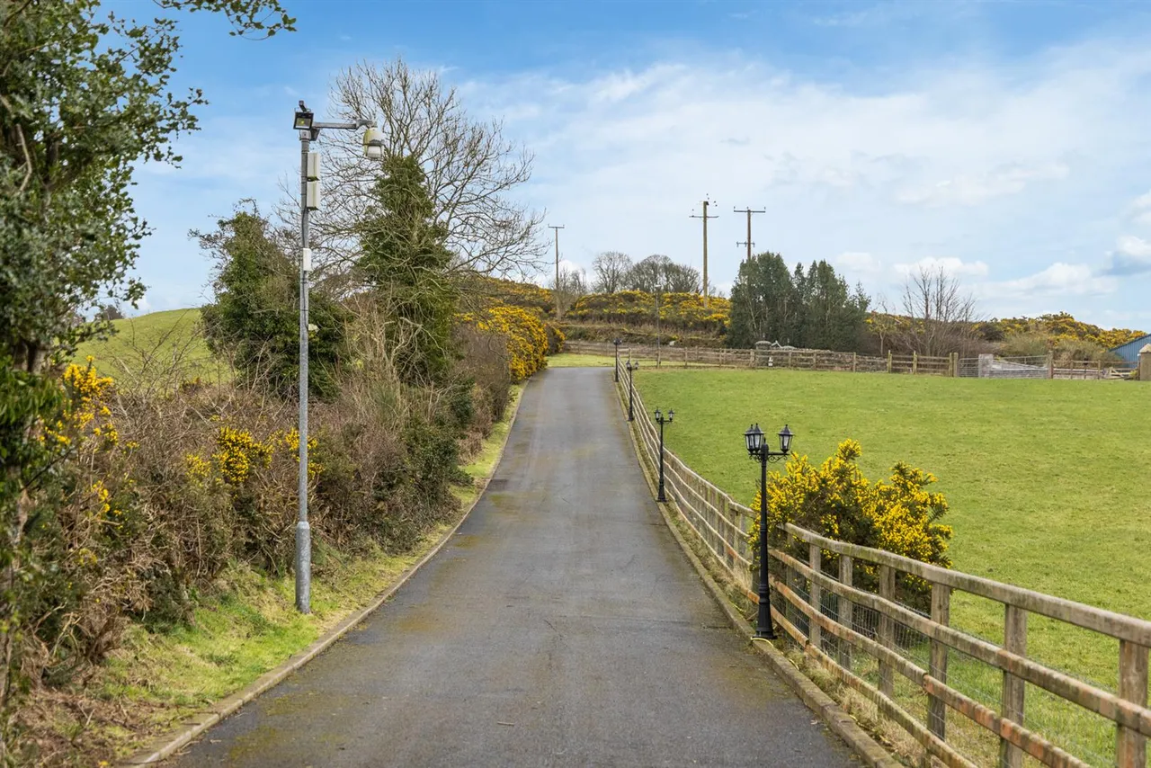 Begny Road, Dromara, BT25, photo 60
