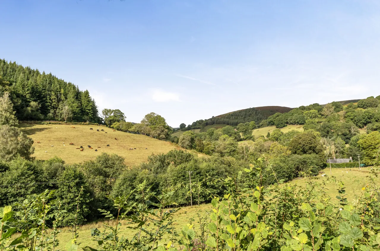 Aberangell, Machynlleth, photo 24
