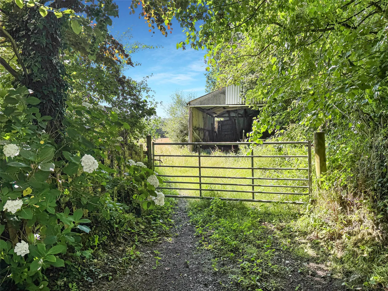 Halgavor Lane, Bodmin, PL31, photo 4