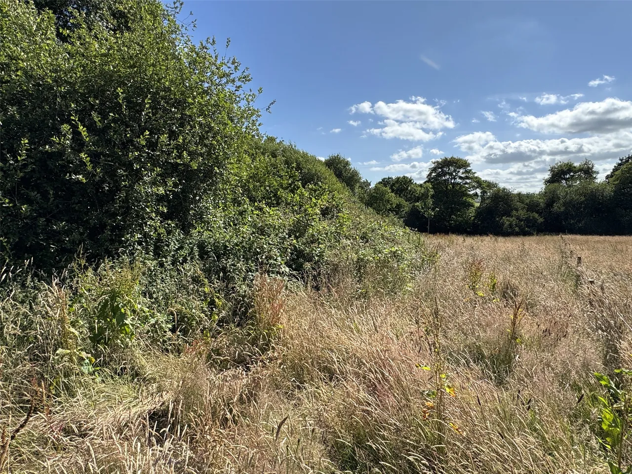 Halgavor Lane, Bodmin, PL31, photo 21