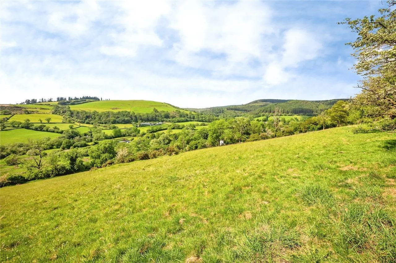 Caio, Llanwrda, SA19, photo 50