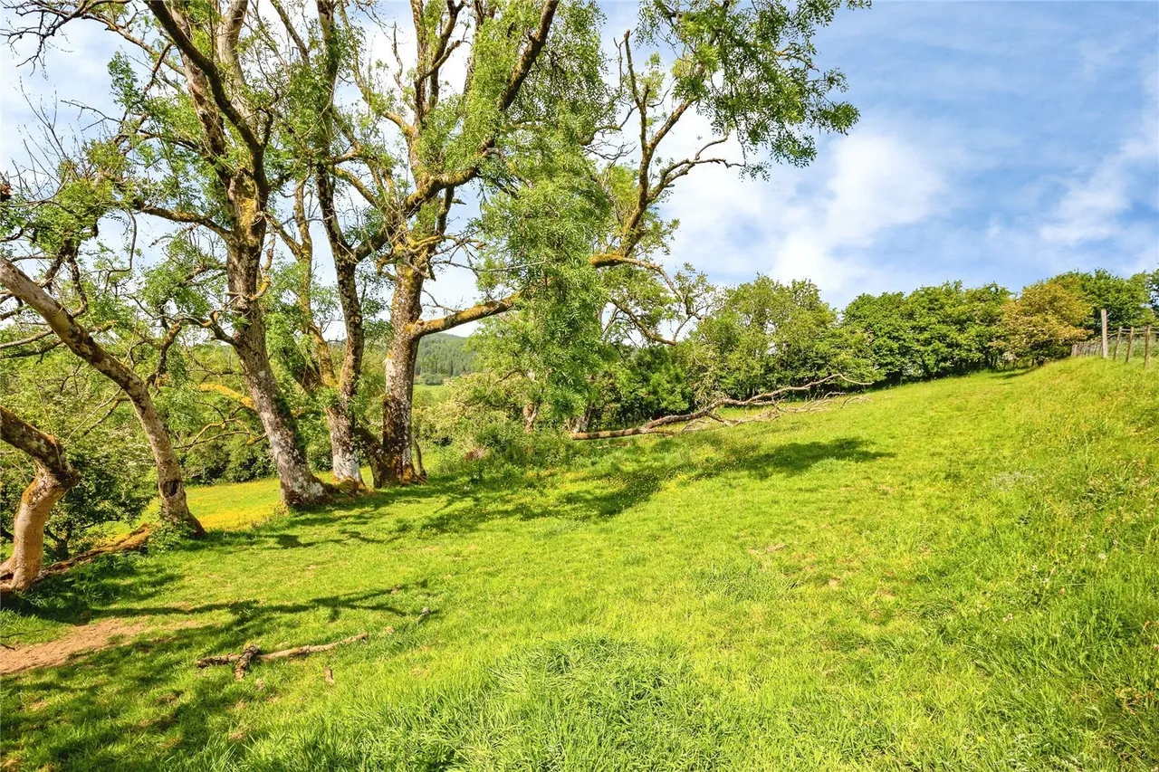 Caio, Llanwrda, SA19, photo 49