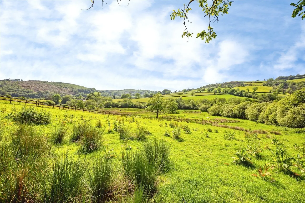 Caio, Llanwrda, SA19, photo 54