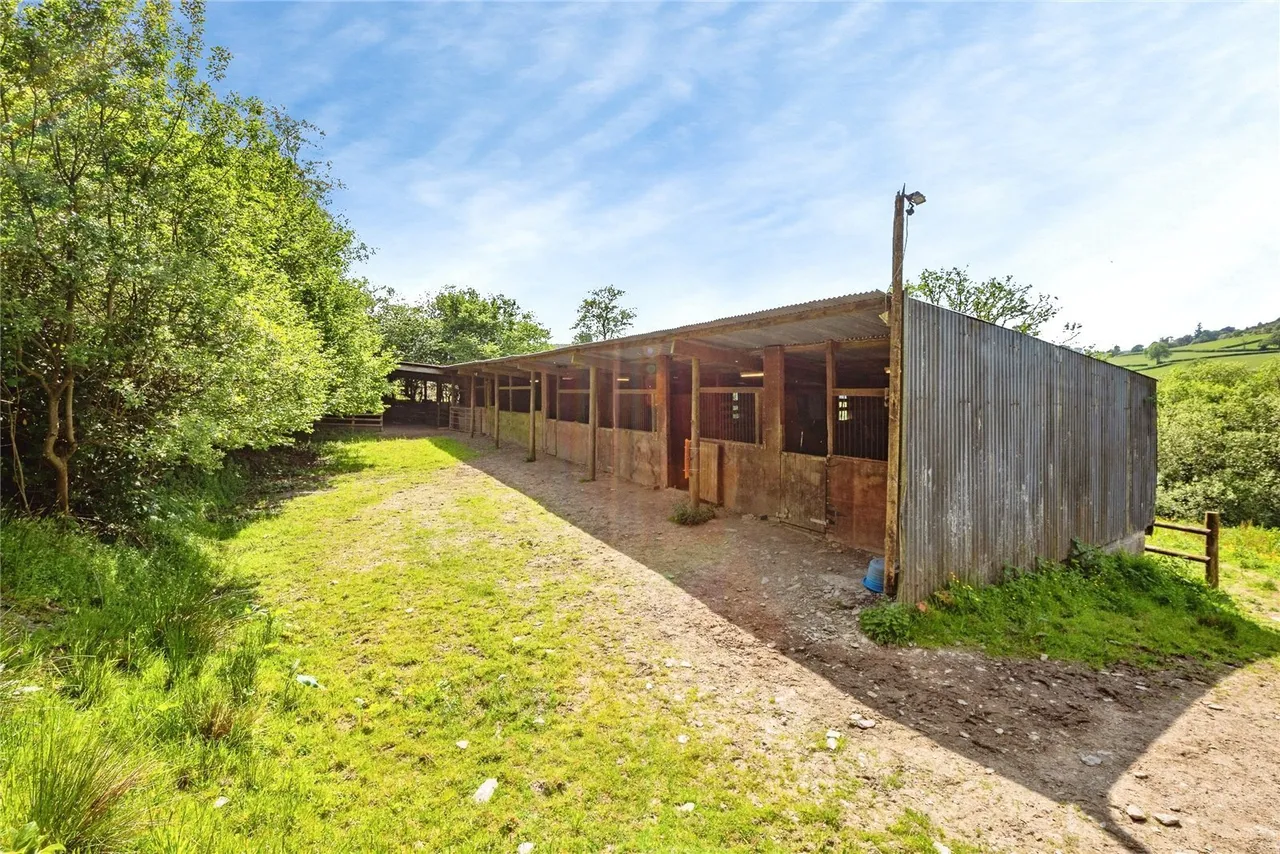 Caio, Llanwrda, SA19, photo 38