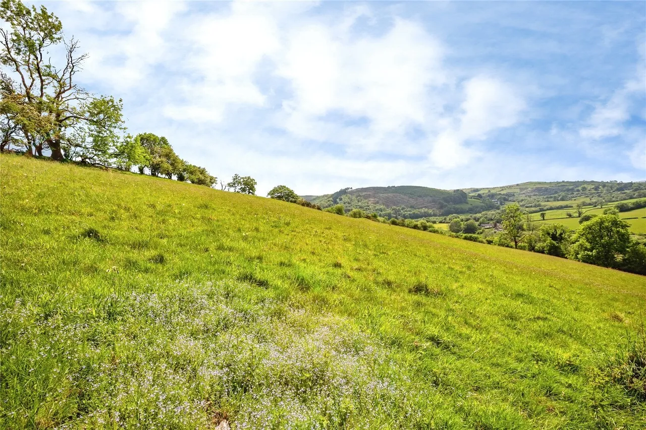 Caio, Llanwrda, SA19, photo 47