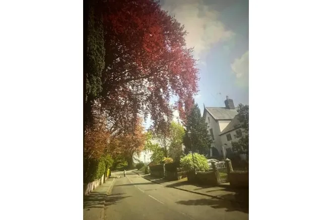 Burwardsley Road, Chester, CH3, photo 19