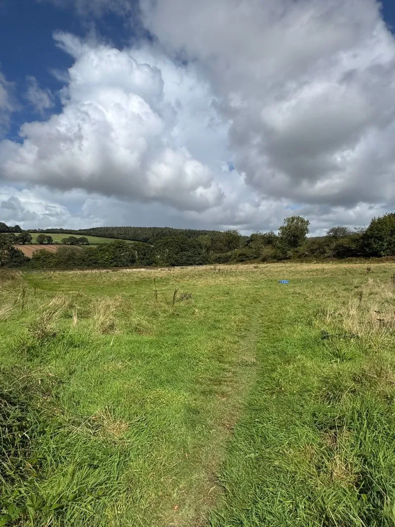 land for sale, Fletchers Bridge, Bodmin, PL30