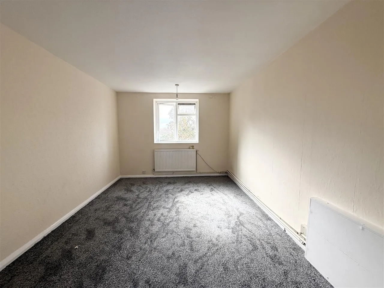 Scotland Green, Tottenham, photo 5