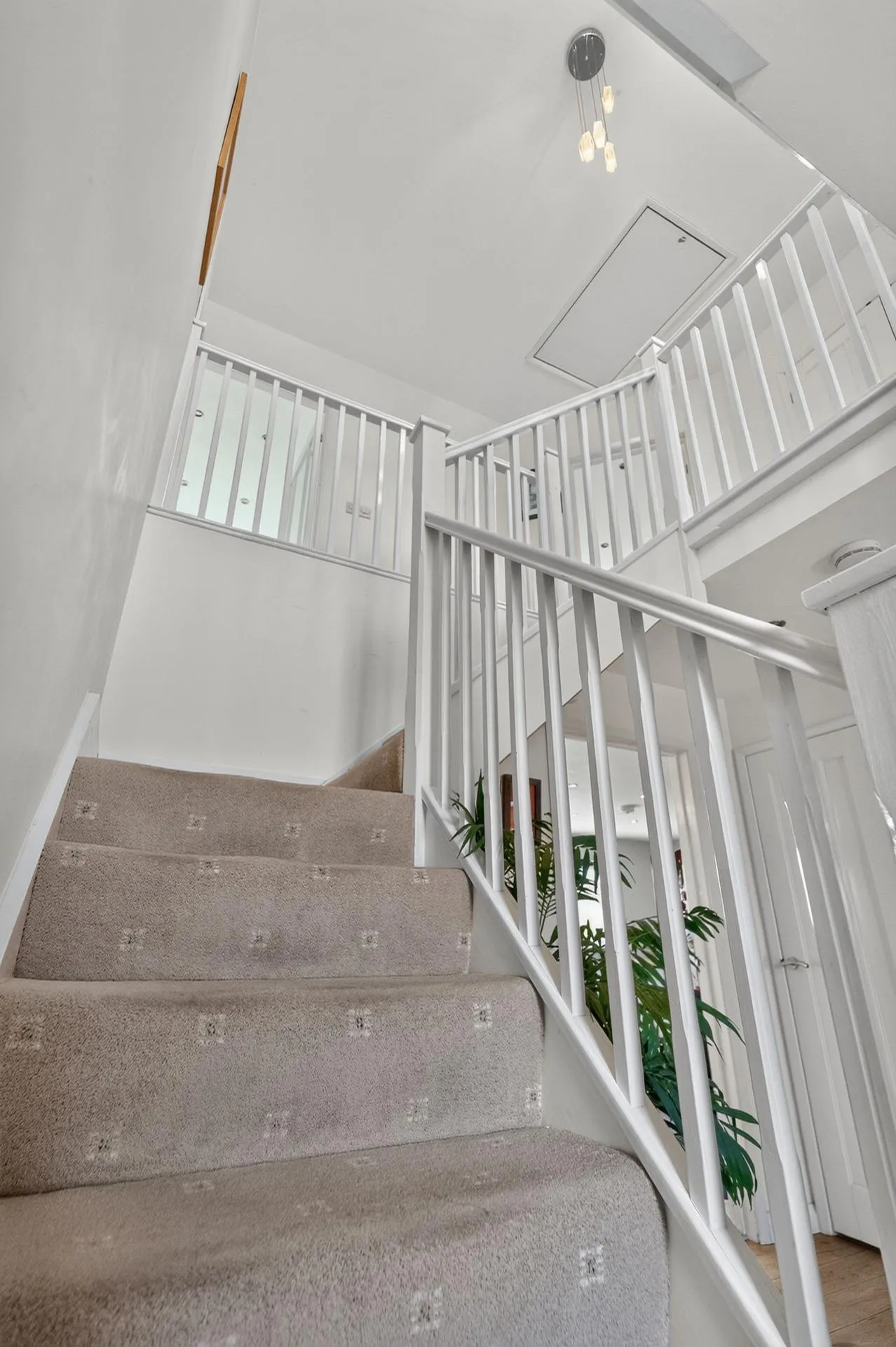 Moana, Llanon, SY23, photo 23