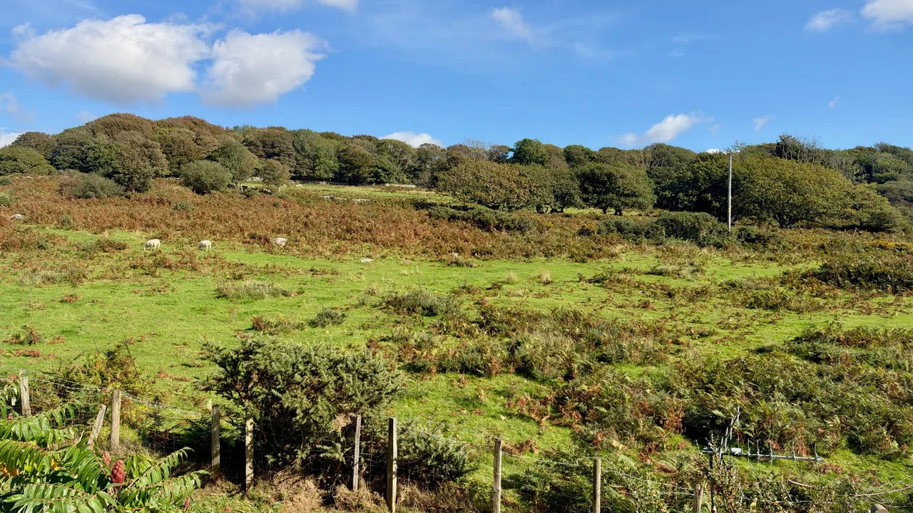 Bryn Awelon, Dyffryn Ardudwy, LL44, photo 15