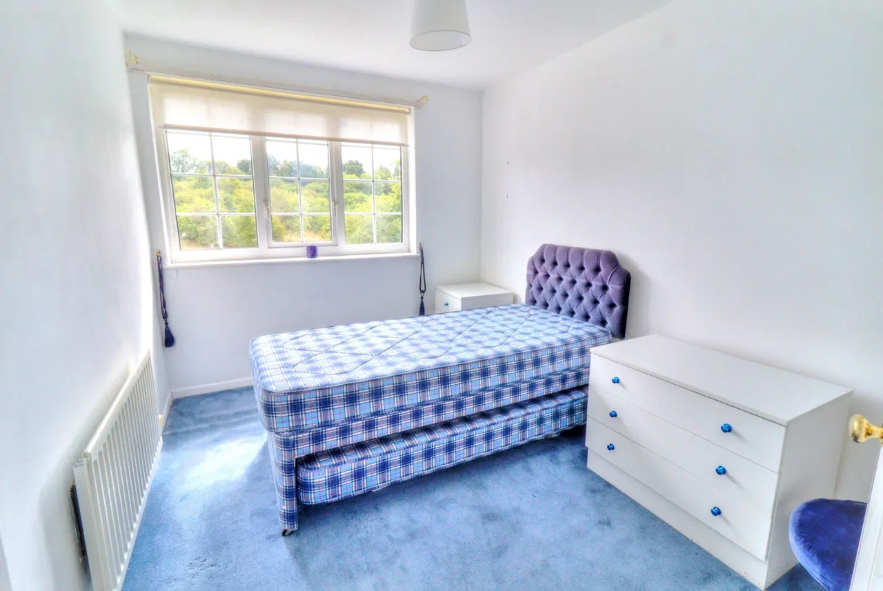 Beech Avenue, Lane End, HP14, photo 11