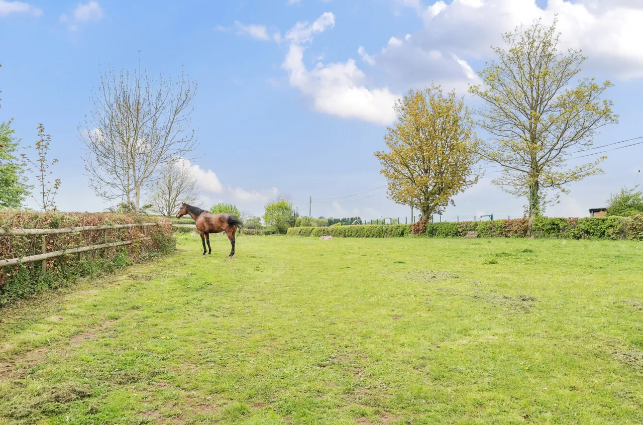 Over Stowey, Bridgwater, TA5, photo 4