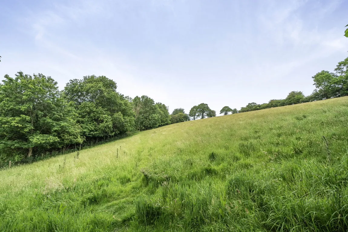 Golberdon, Callington, Cornwall, PL17 7NL, photo 22